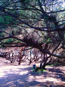 C360_2014-01-27-14-21-57-365