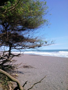 C360_2014-01-27-14-27-24-957