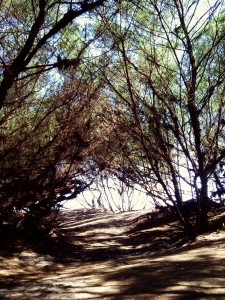 C360_2014-01-27-14-53-44-444