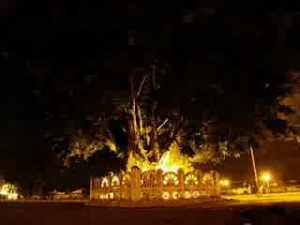alkid jogja