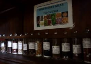 Koleksi Museum Biologi 3