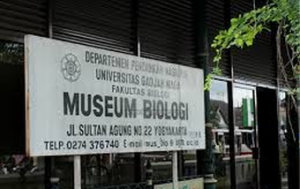 Museum biologi 4