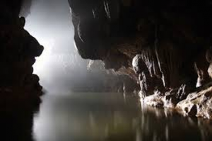 goa cerme 4