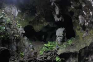 goa gajah yogyakarta 3