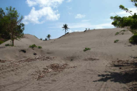 gumuk pasir parangtritis