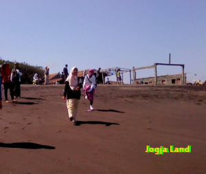 pengunjung pantai trisik