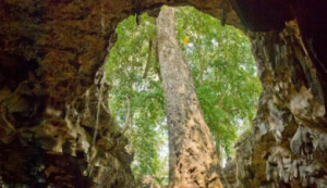 goa rancang kencono 6