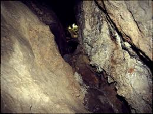 goa rancang kencono 7