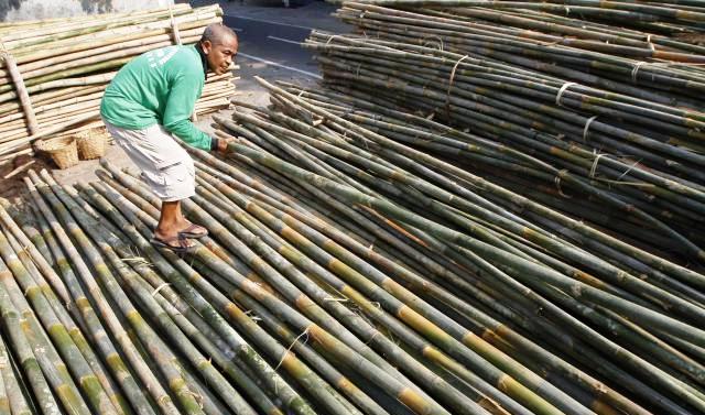 Permalink to Penanaman Bambu Kabupaten Sleman Diperluas