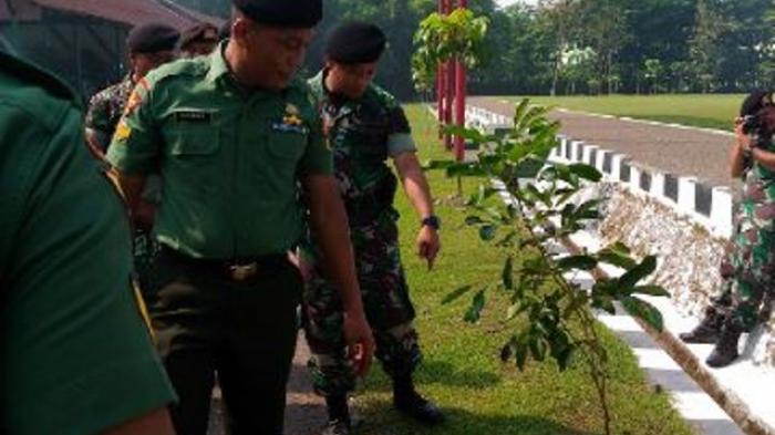 tanam-pohon-kikavser