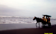 Permalink to Pantai Parangtritis Yogyakarta