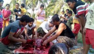Permalink to Paus Hitam Terdampar di Pantai Karangwuni