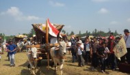 Permalink to Ratusan Bajingan Meriahkan Festival Gerobak Sapi 2015