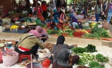 Permalink to Jelang idul adha jumlah pengunjung pasar liwa lampung barat meningkat