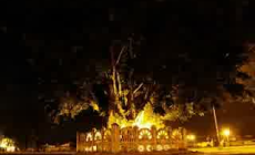 Permalink to Alun-Alun Selatan Yogyakarta