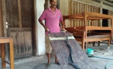 Permalink to Buruh Gendong Naik Haji