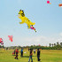 Ayo Lur, Liat Festival Layang-layang di Pantai Glagah Ayo Lur, Liat Festival Layang-layang di Pantai Glagah