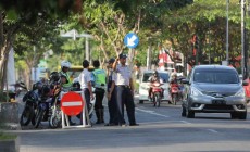 Pohon Pembatas Jalan di Jl C Simanjuntak Akan Dipangkas