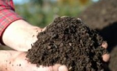 Permalink to Bantul Manfaatkan Sampah Pasar untuk Pupuk Kompos
