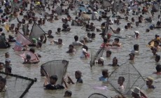 Permalink to Ribuan Orang Nyemplung Bareng ke Kolam Cari Ikan
