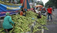 Permalink to Penjual Jagung Panen Untung di Malam Tahun Baru