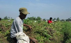 Permalink to Babinsa dan Petani Bersatu Sukseskan Program Pemerintah