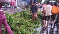 Permalink to Angin Kencang Tumbangkan Pohon di Jalan Kusumanegara