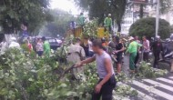 Permalink to BLH Jogja Berencana Asuransikan Pohon yang Rawan Tumbang