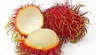 Permalink to Sungguh Tragis! Bayi Empat Tahun Tewas Tersedak Rambutan