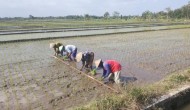 Permalink to Pertumbuhan Ekonomi Pertanian di Sleman Menurun