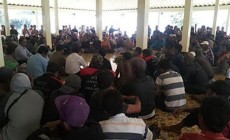 Permalink to Warga Temon Berdemo Membawa Sayur Mayur